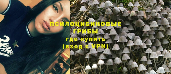 дживик Балабаново
