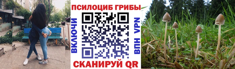 Галлюциногенные грибы GOLDEN TEACHER  Купить  Людиново 